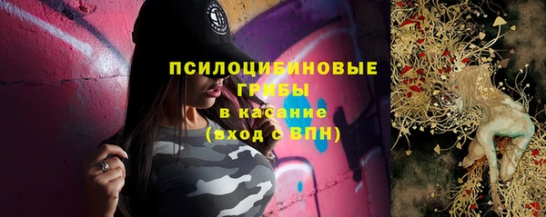 молекула духа Липки