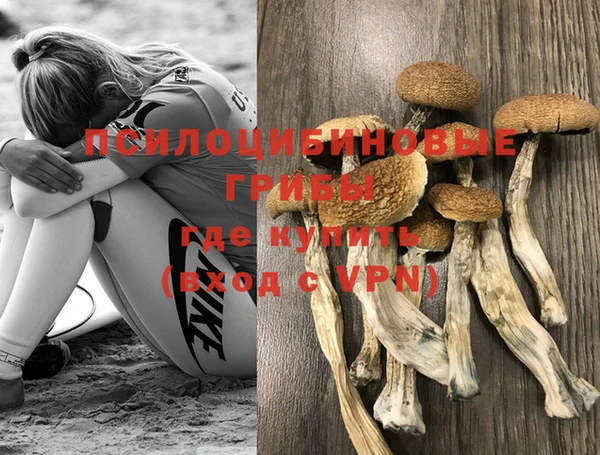 молекула духа Липки