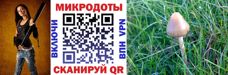Псилоцибиновые грибы GOLDEN TEACHER  Озёры 