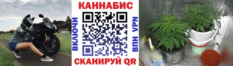 Шишки марихуана тримм Озёры